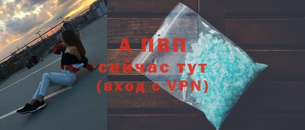 стафф Богородицк