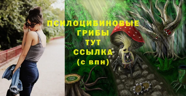 стафф Богородицк