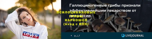 хмурый Богданович