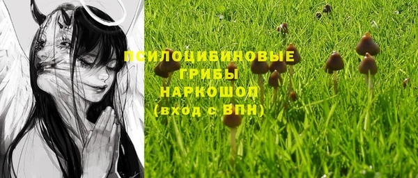хмурый Богданович