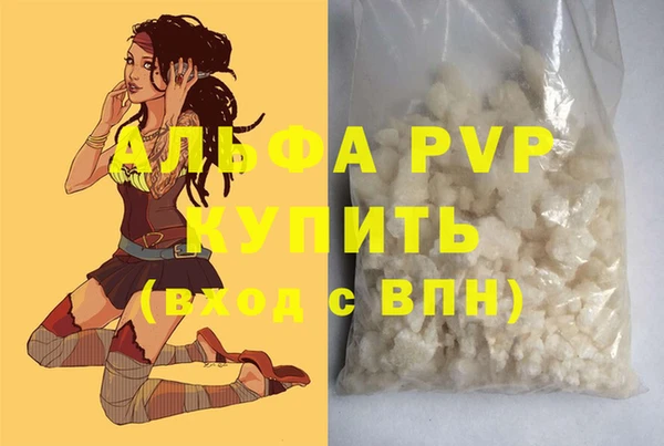 spice Покачи