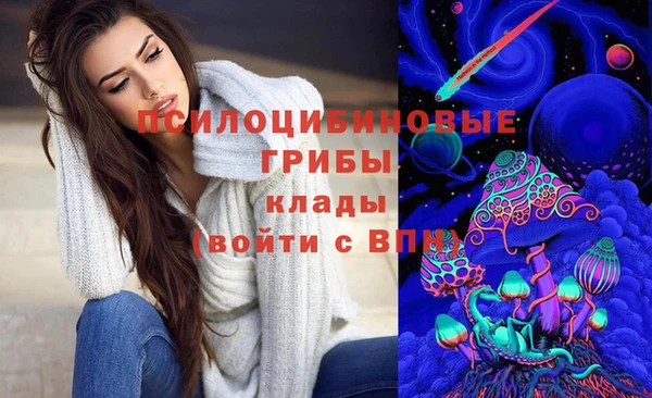 хмурый Богданович