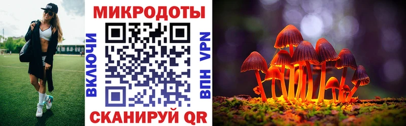 Псилоцибиновые грибы мухоморы где найти Туран